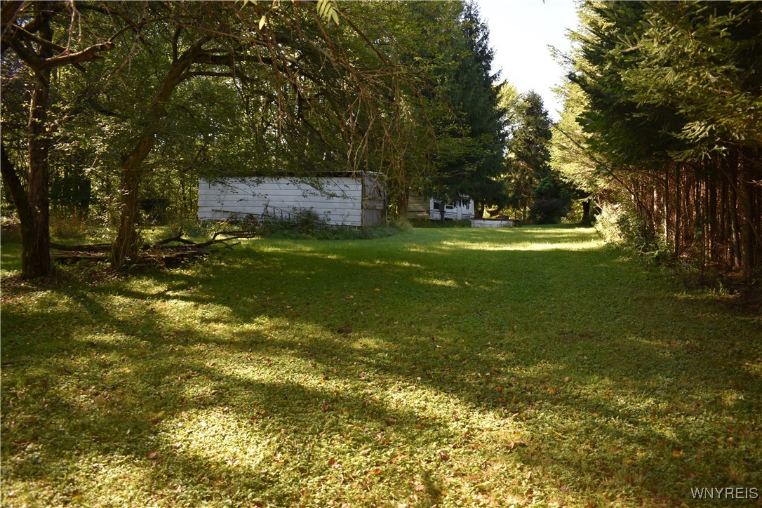 9190 Ball Road Otto, NY 14719 - Photo 10 of 20 other shed