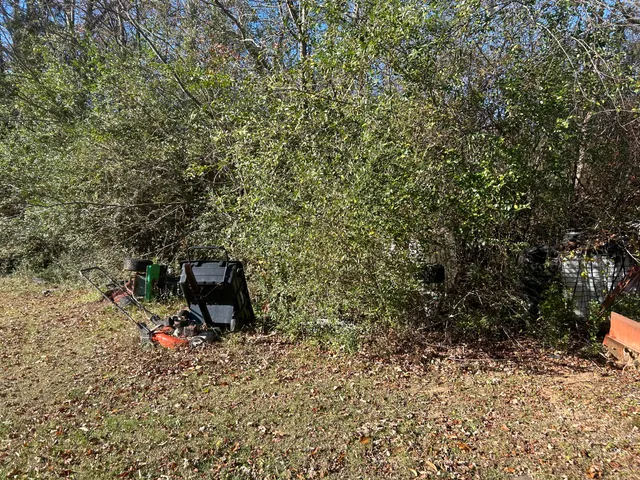 a view of a bench in a garden