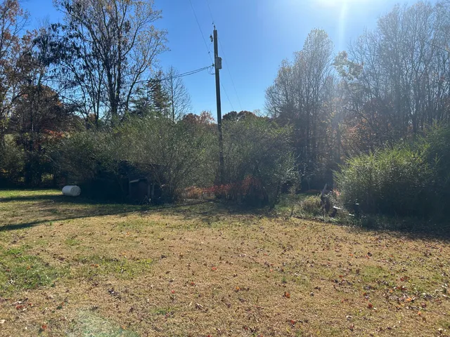 a view of a yard with a tree