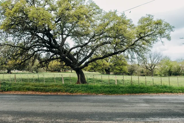 a living room with furniture potted plant and a large window