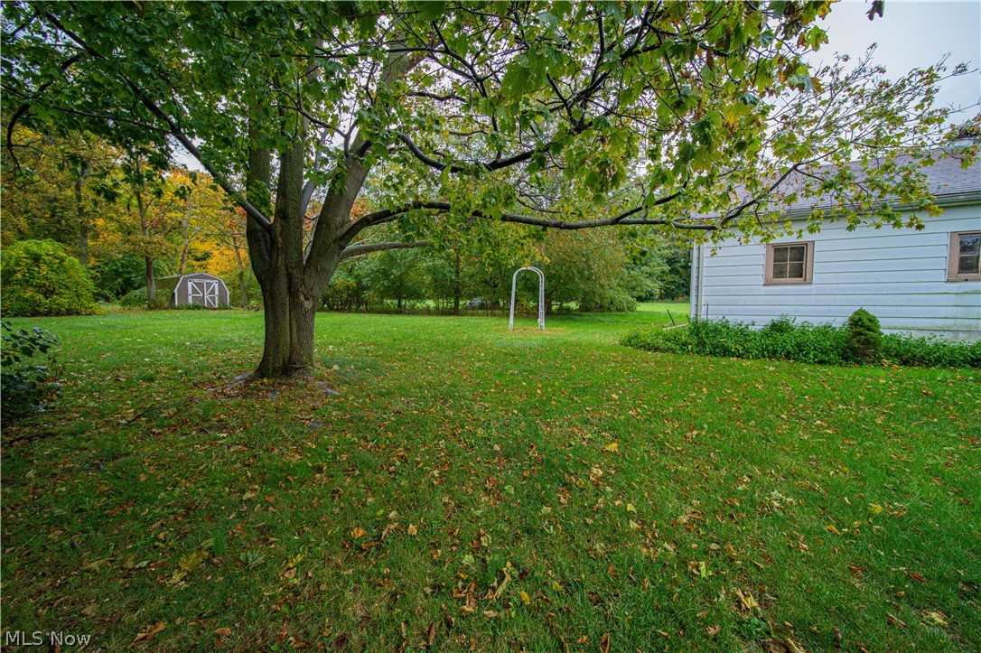 4639 Webb Road Perry, OH 44081 - Photo 32 of 34 This spacious yard has plenty of room to set up a game of cornholes, or maybe a garden. Or would you prefer to put a tire swing on the tree? You decide!