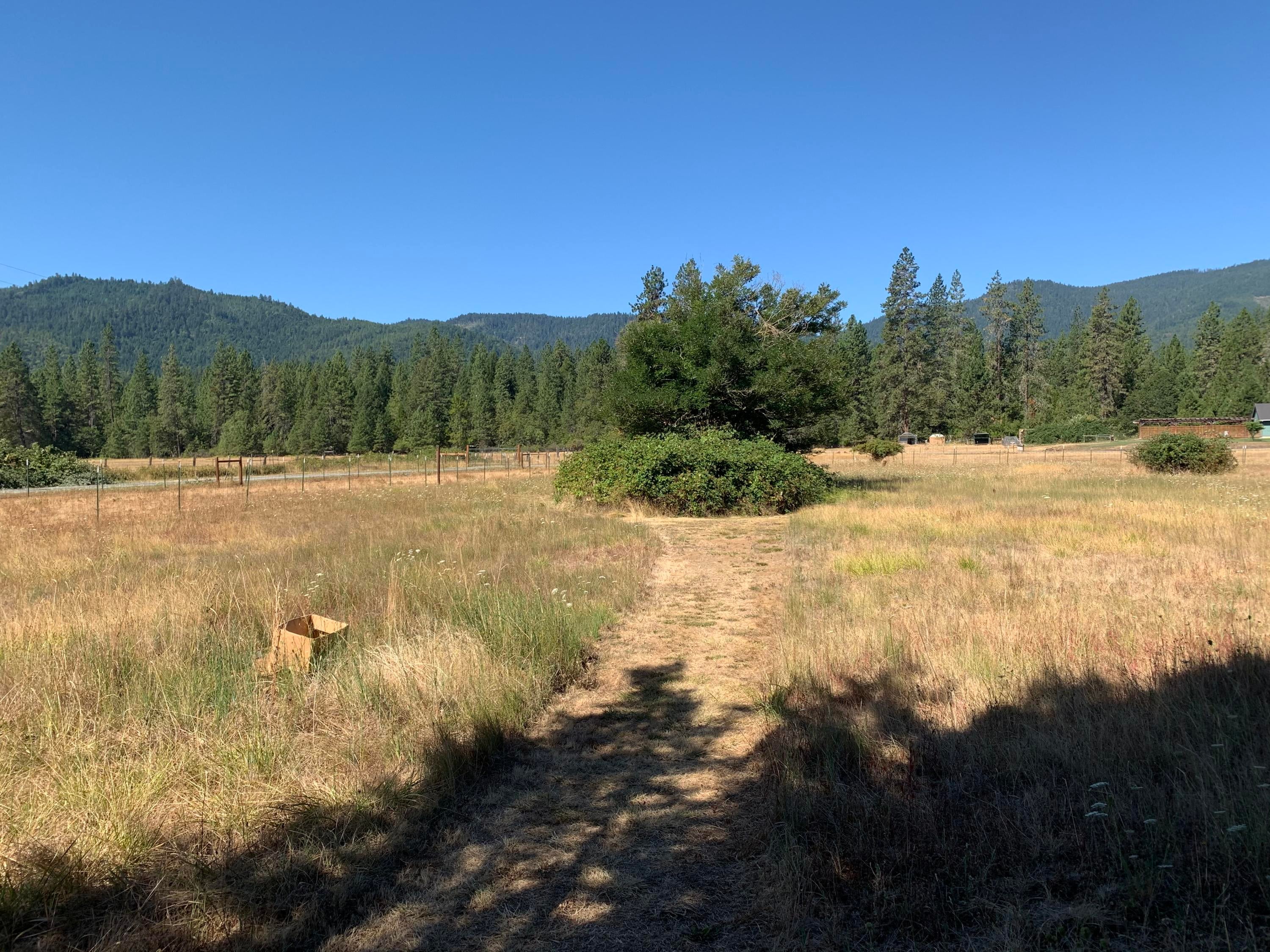 1661 Pine Grove Road Rogue River, OR 97537 - Photo 10 of 30 IMG-4436