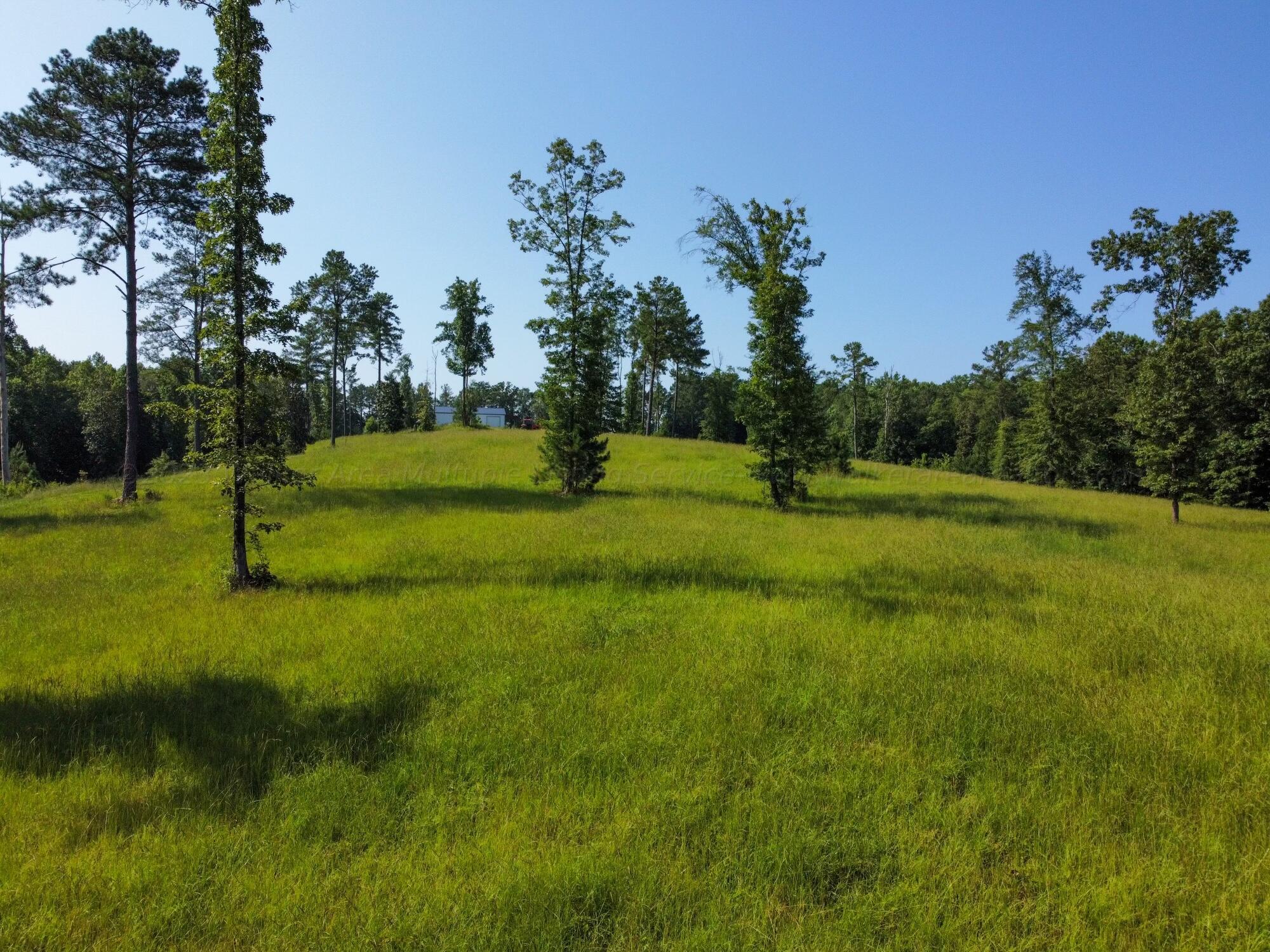 322 Gray Road Jasper, AL 35504 - Photo 17 of 21 Gallery Image 17