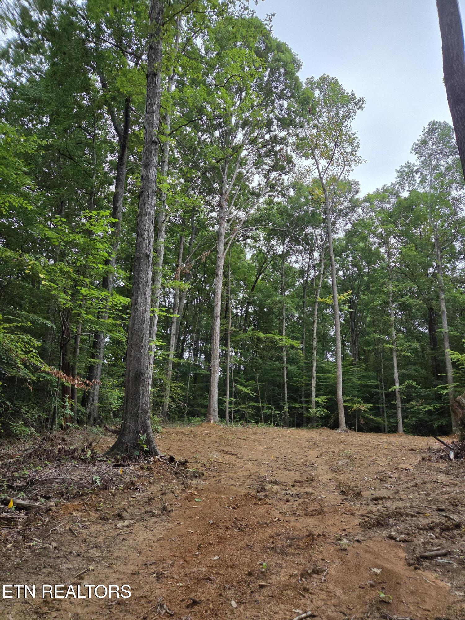 121 County Road Athens, TN 37303 - Photo 3 of 9 Homesite