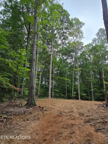 $130,000 | 121 County Road, Athens, TN 37303