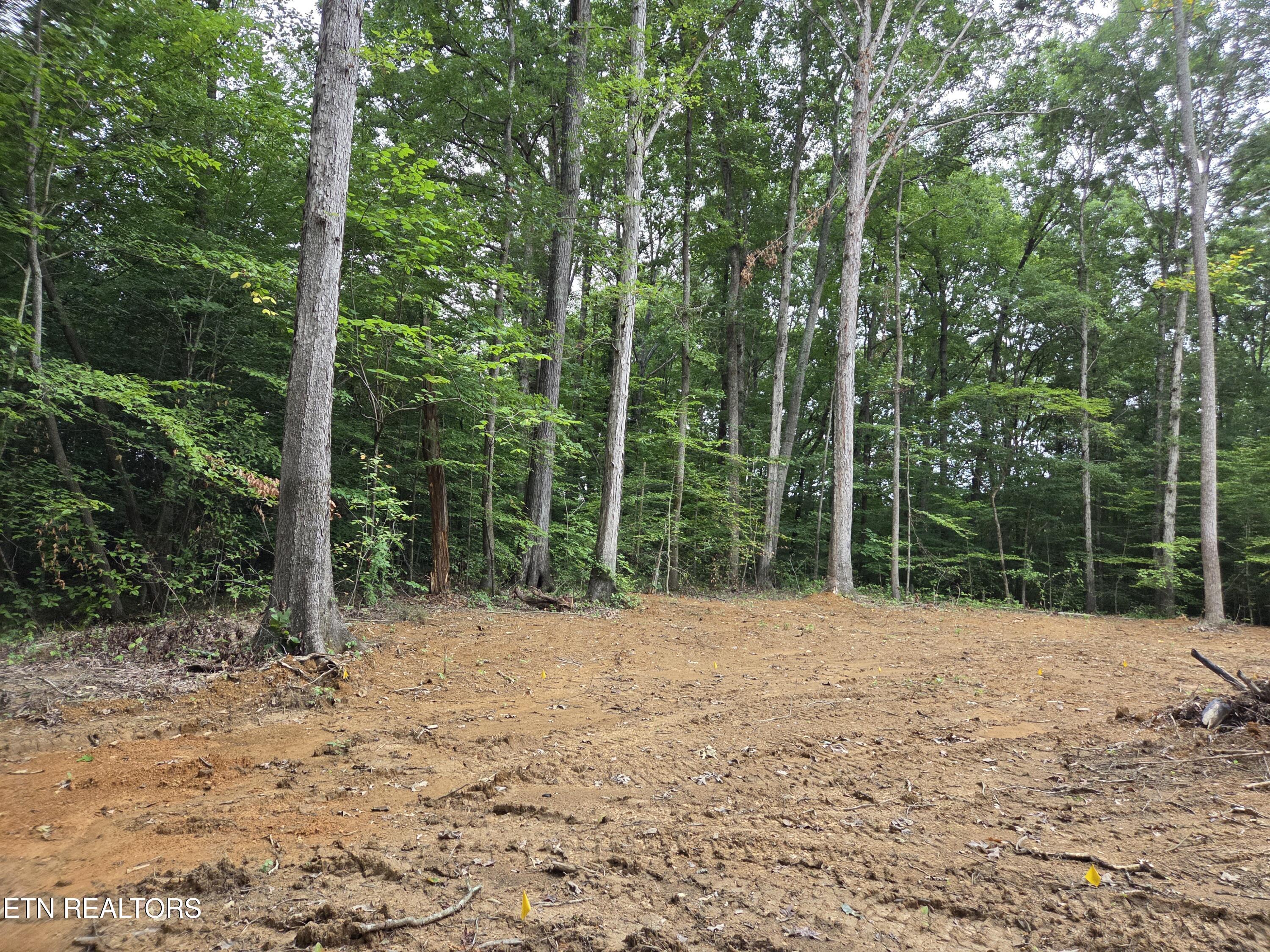 121 County Road Athens, TN 37303 - Photo 8 of 9 Homesite