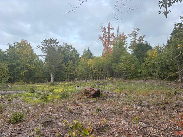 Lot #2 Branch View Alfred, ME 04002 - Photo 6 of 7 IMG_5102