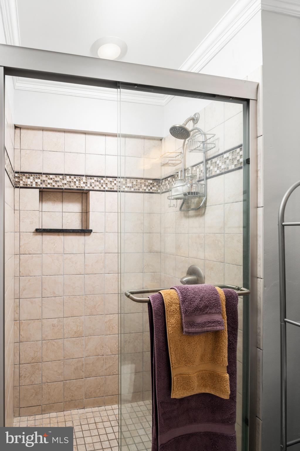 761 Pine Drift Drive Odenton, MD 21113 - Photo 27 of 36 Bathroom 3 Shower