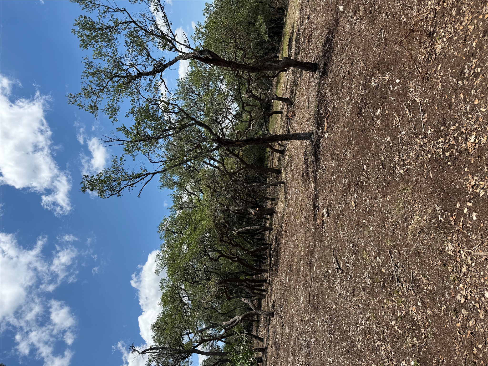 -altwein Rd 17.91 Acres Altwein Road Blanco, TX 78606 - Photo 27 of 33 a view of outdoor space with trees