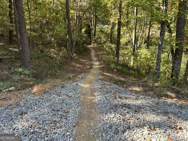 a view of backyard with green space