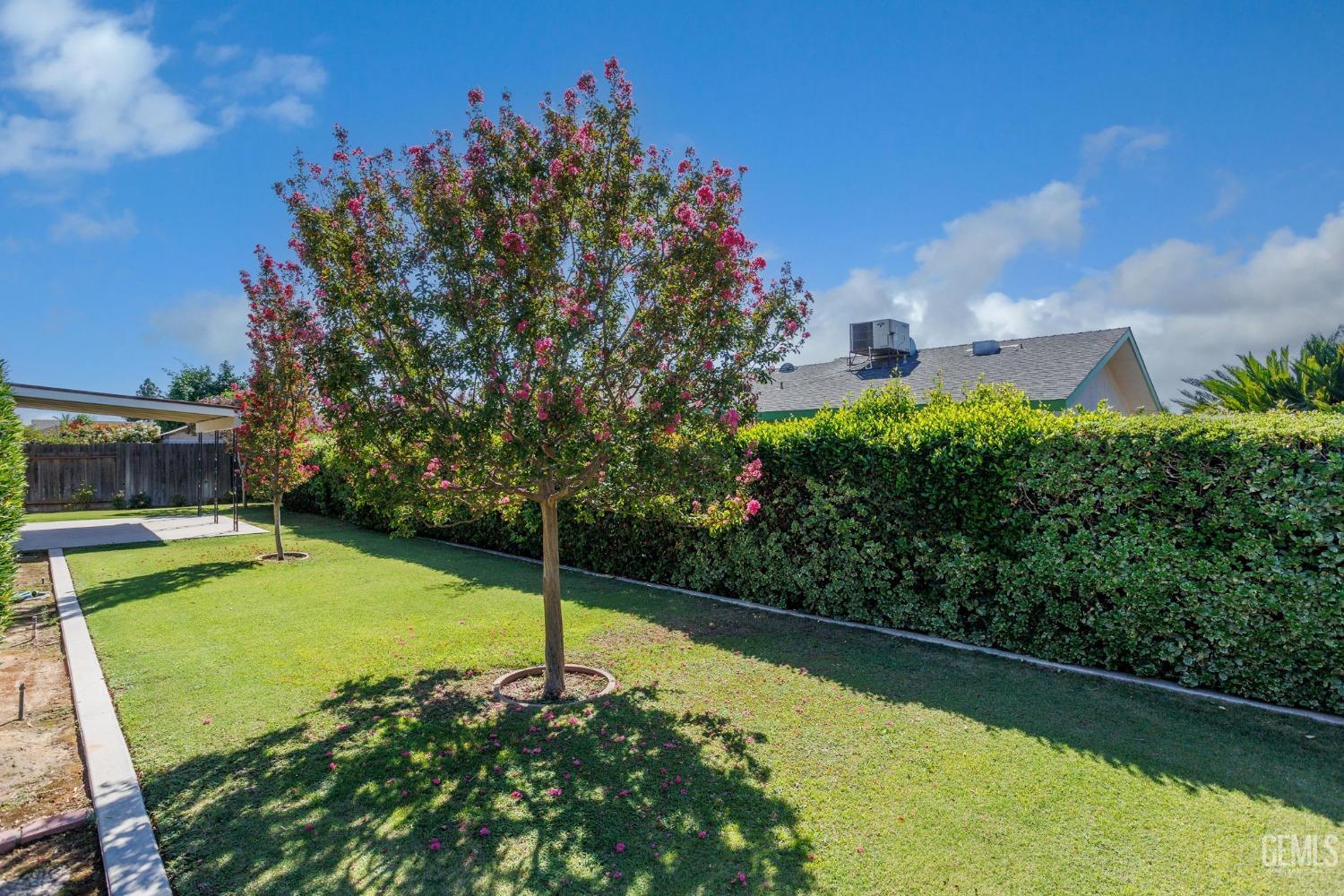 Undisclosed Address Bakersfield, CA 93309 - Photo 41 of 43 a view of a backyard with plants