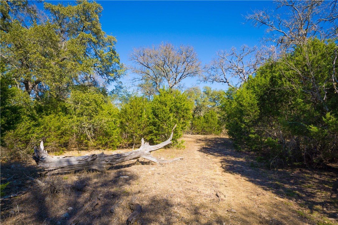 15 Cross Creek Road Georgetown, TX 78628 - Photo 1 of 1