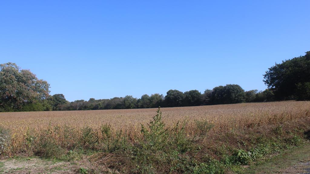 Lot 130 Matthews Road, Unit 130 Parksley, VA 23421 - Photo 15 of 15