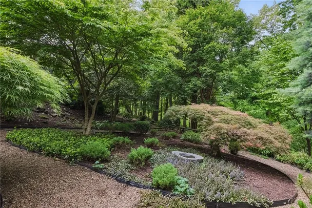 a view of backyard with green space