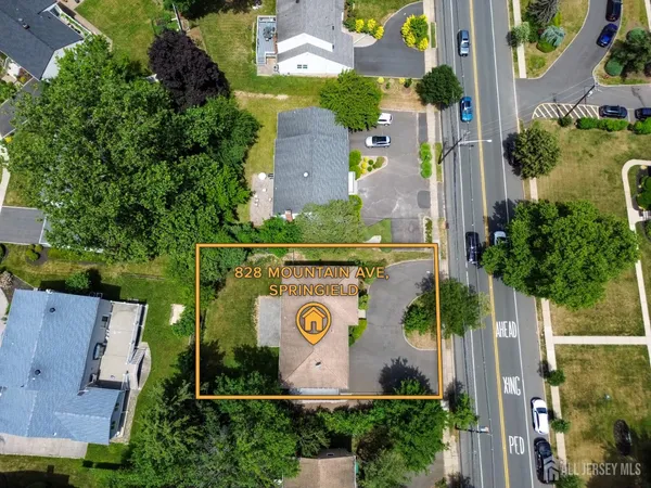 an aerial view of a house with a yard and a large tree