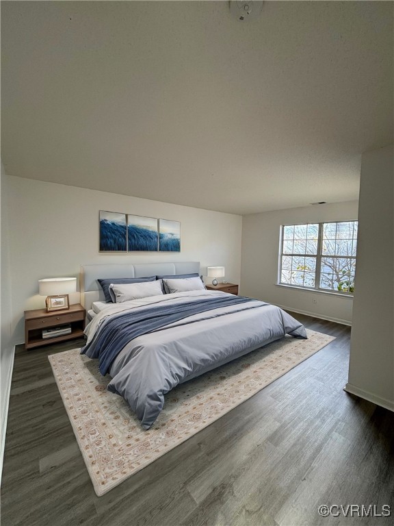 18 Bluesage Path Hampton, VA 23663 - Photo 16 of 28 Bedroom featuring dark hardwood / wood-style floor