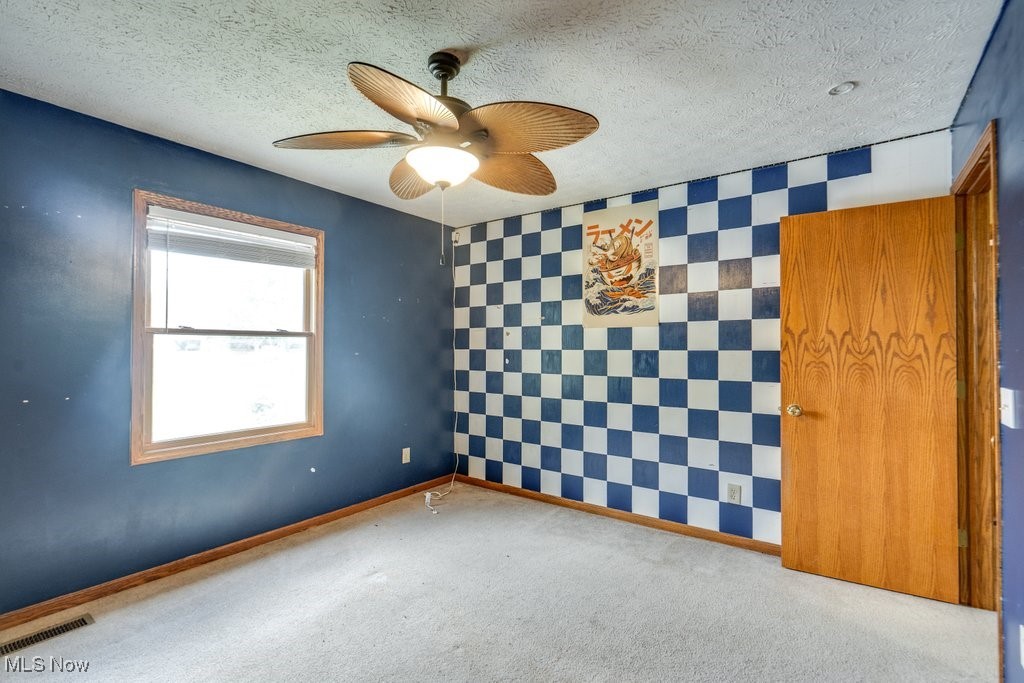 3362 Sunnybrook Road Kent, OH 44240 - Photo 28 of 50 Carpeted spare room featuring a textured ceiling, ceiling fan, and tile walls