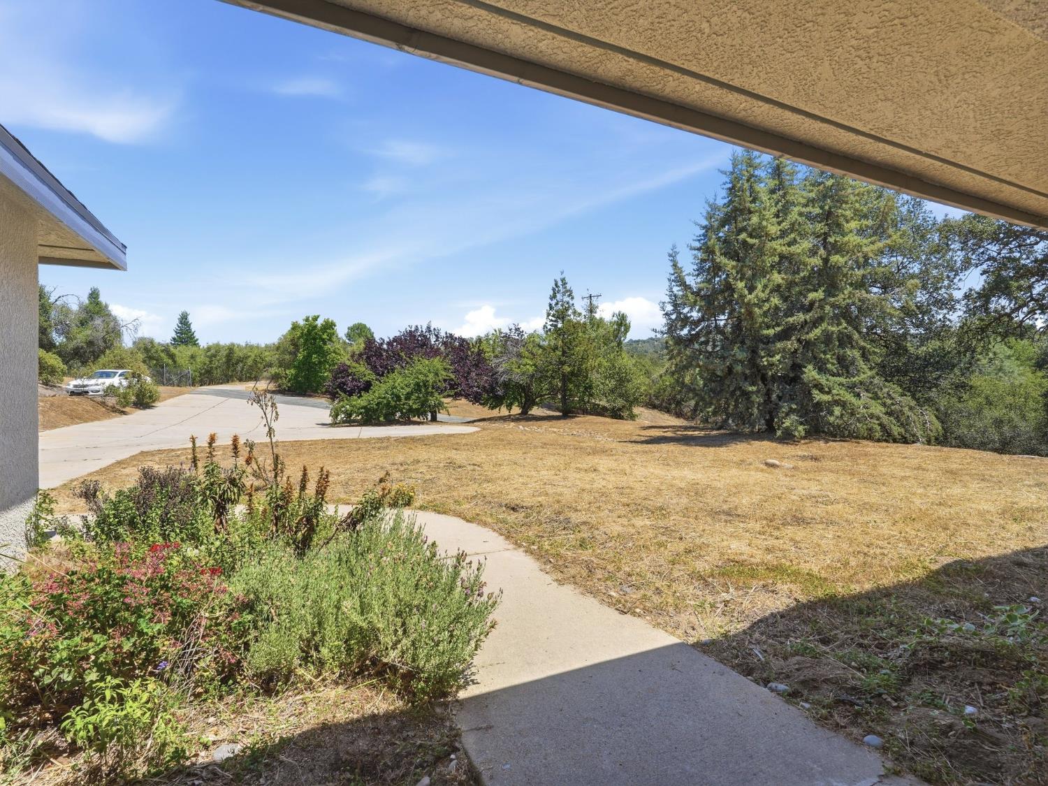 31490 Kennedy Road Coarsegold, CA 93614 - Photo 6 of 94