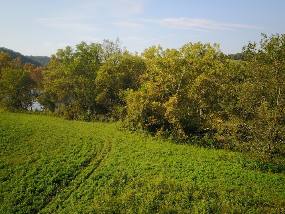 441 Peach Orchard Road Clinton, TN 37716 - Photo 4 of 23 4