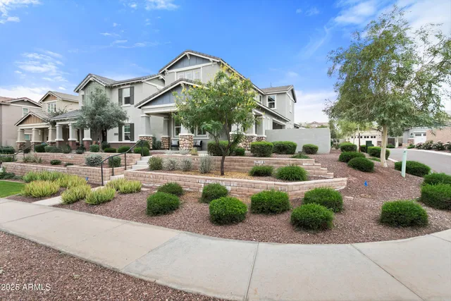 a living room with furniture a rug potted plant and a window