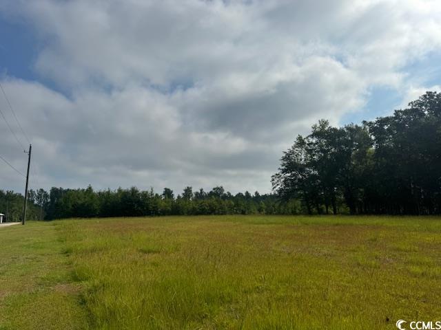 Tbd Justice Loop Loris, SC 29569 - Photo 1 of 4 View of yard with a wooded view
