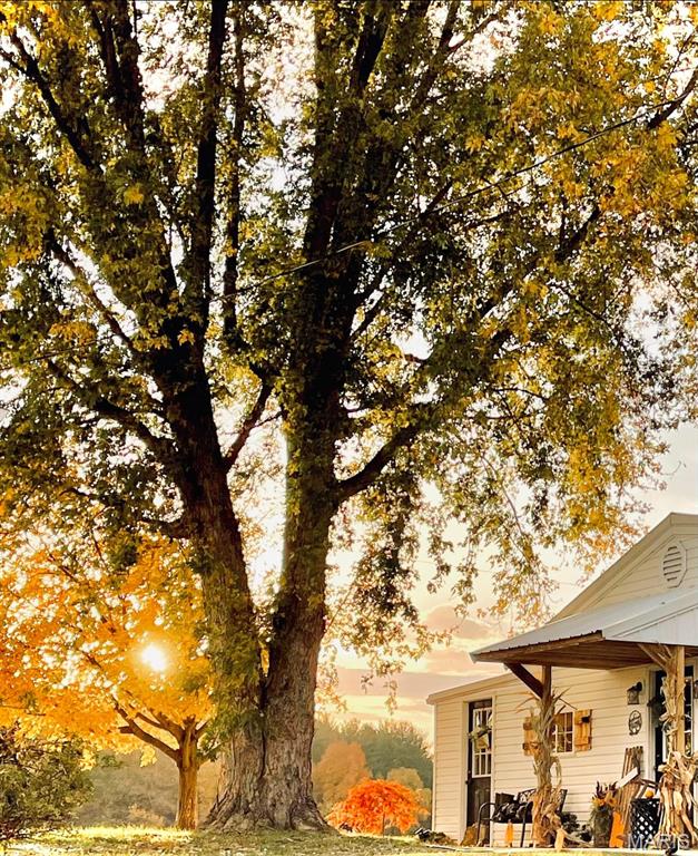 7631 Gray Road Alma, IL 62807 - Photo 9 of 18