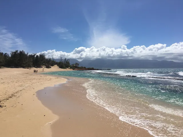 $1,495,000 | 301 Paani Place, Unit D, Paia, HI 96779