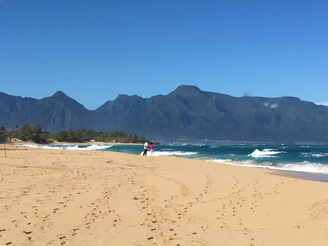 $1,495,000 | 301 Paani Place, Unit D, Paia, HI 96779