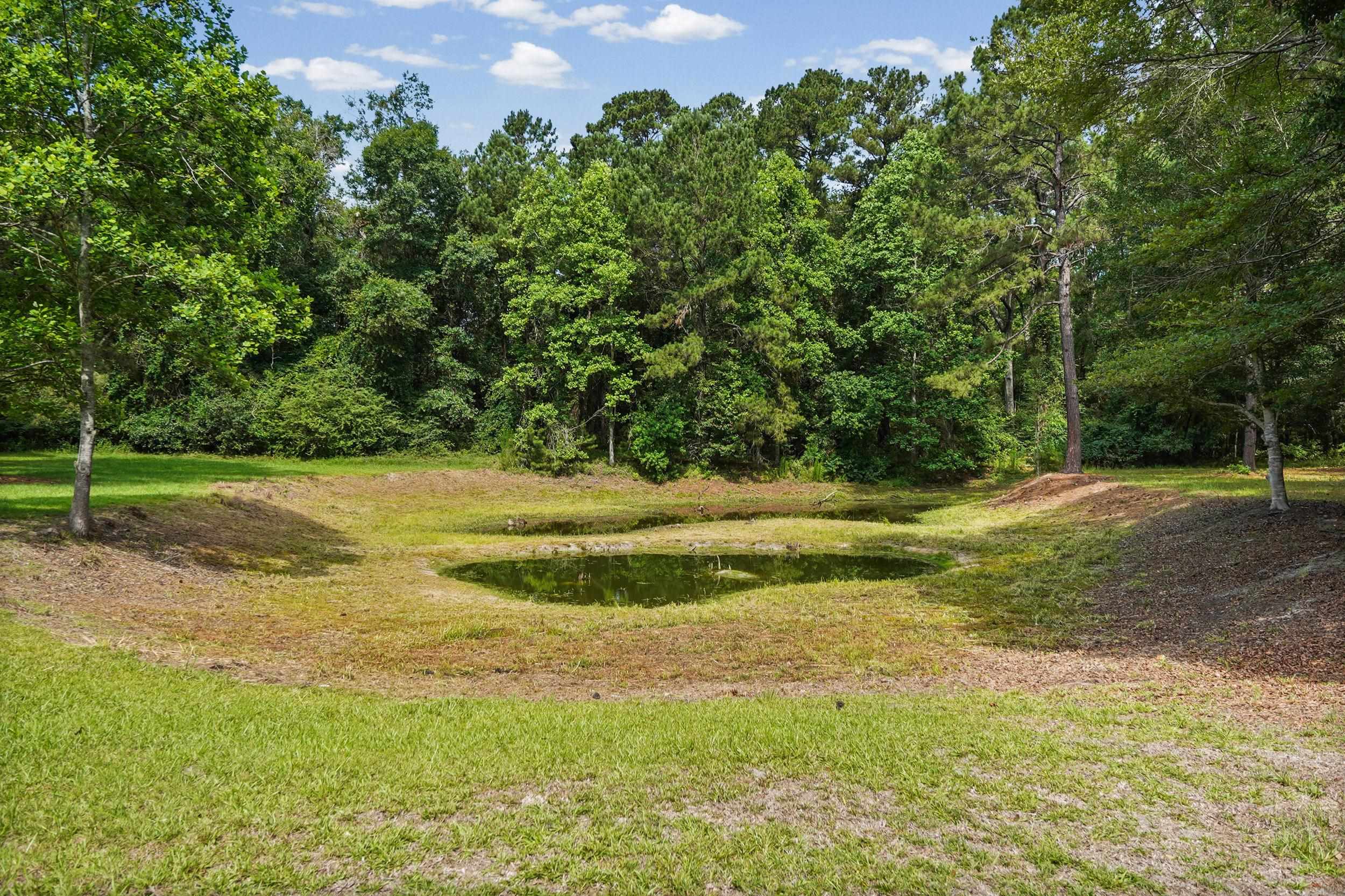 2051 Rook Road Ochlocknee, GA 31773 - Photo 44 of 52