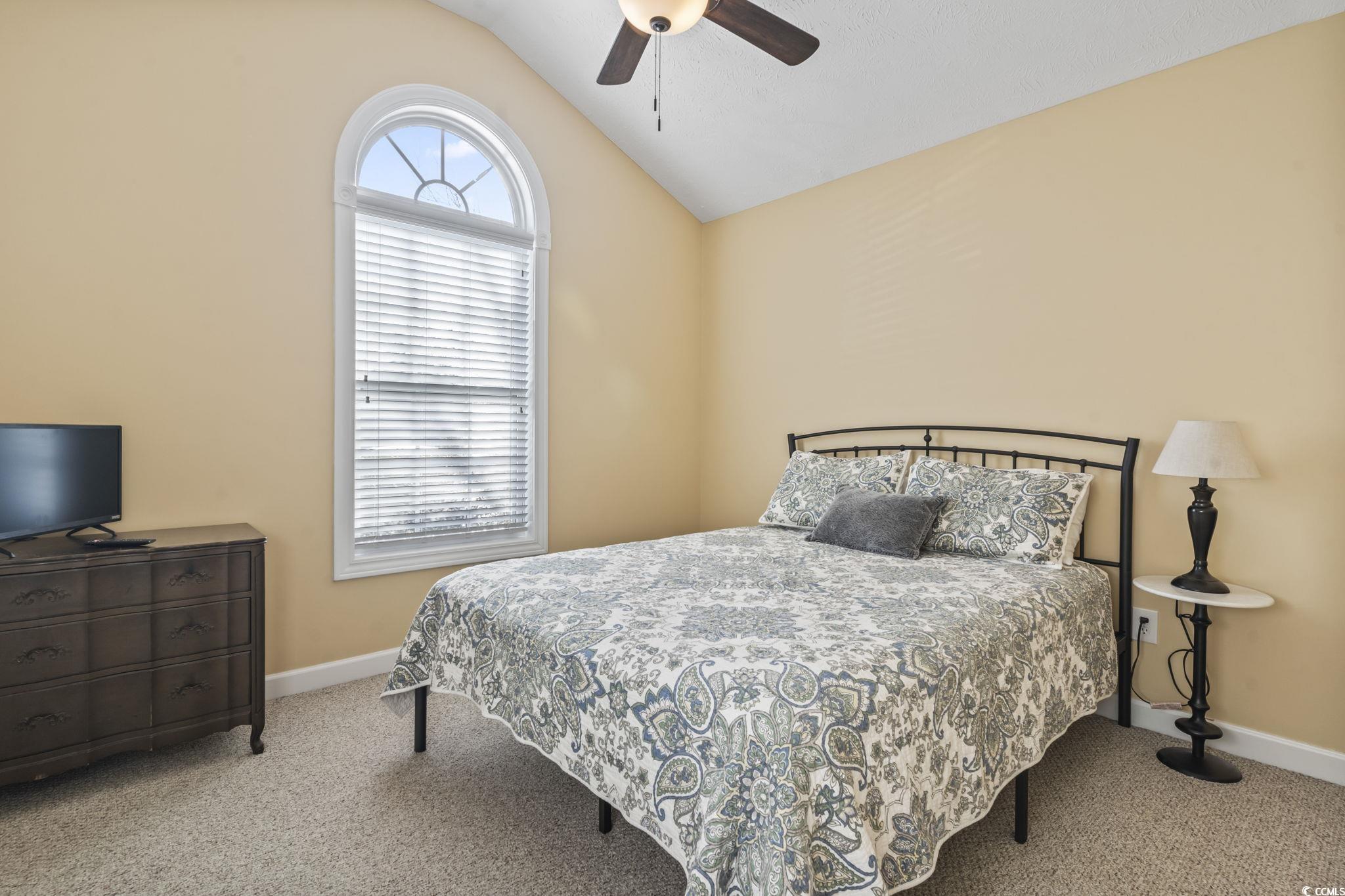 3141 Shorecrest Bay Drive Murrells Inlet, SC 29576 - Photo 16 of 30 Bedroom with multiple windows, lofted ceiling, lig