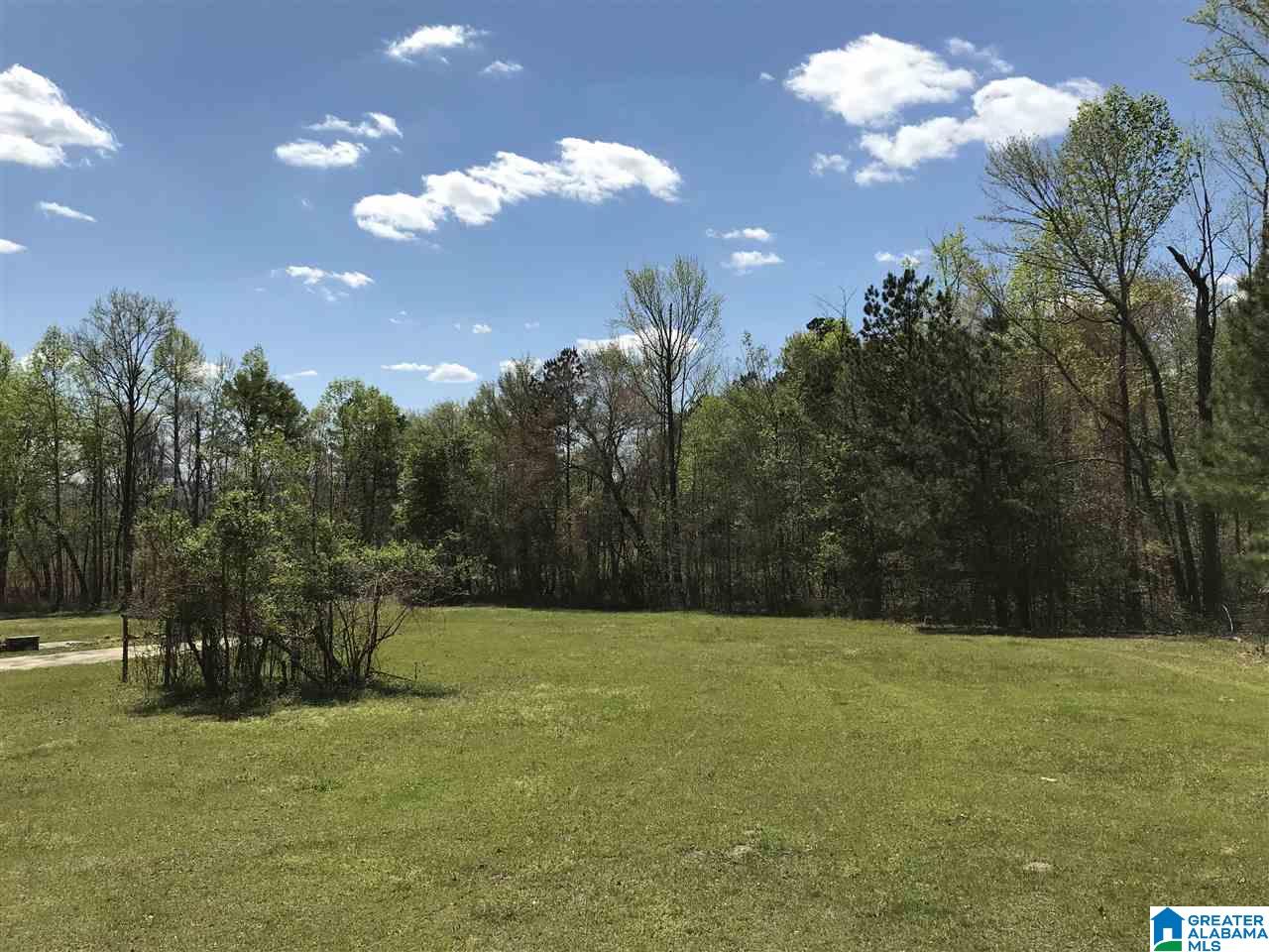 346 Hunters Lane Vandiver, AL 35176 - Photo 3 of 38