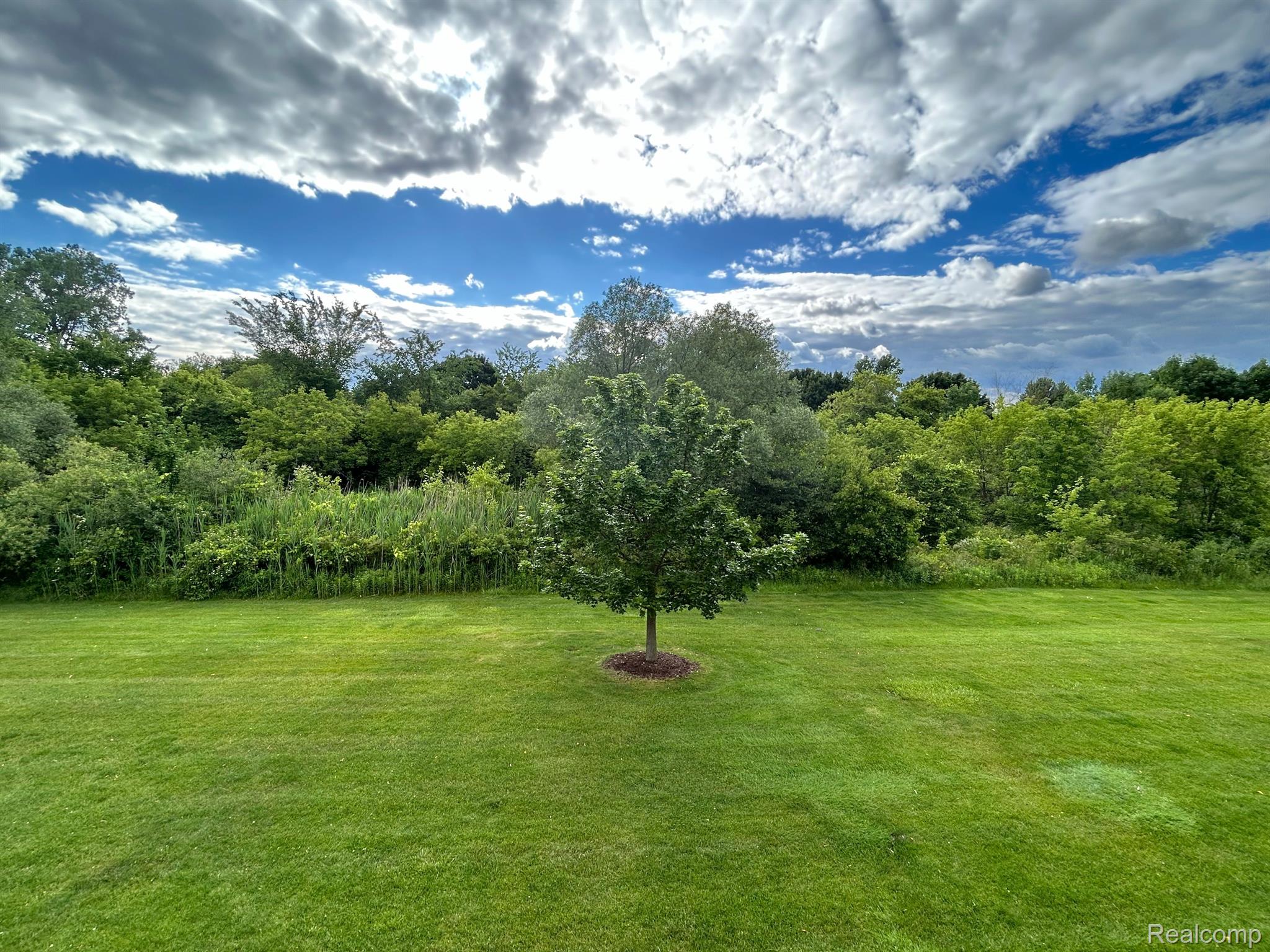 45511 Heather Ridge Drive, Unit 98 Macomb, MI 48044 - Photo 23 of 31 Gallery Image 23