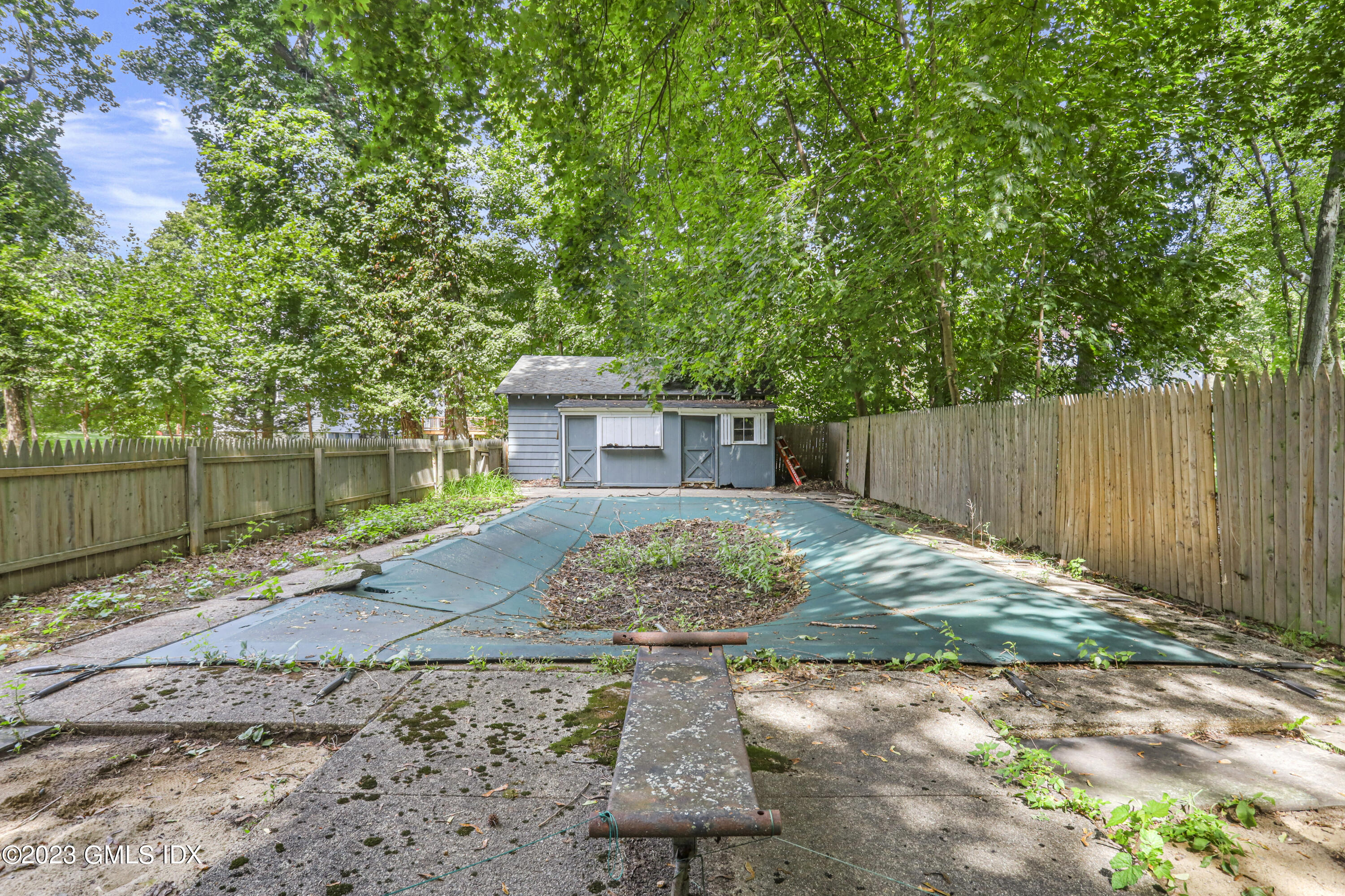 33 Breezemont Avenue Riverside, CT 06878 - Photo 14 of 31 a view of a backyard with a plants and large tree