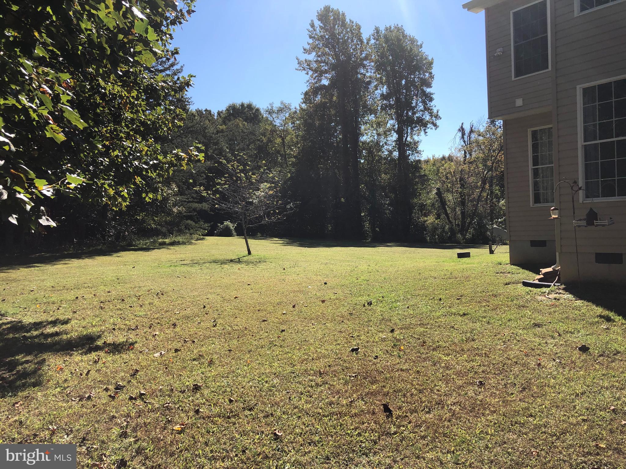 15930 Brandywine Road Brandywine, MD 20613 - Photo 14 of 63 Back & Side Yard
