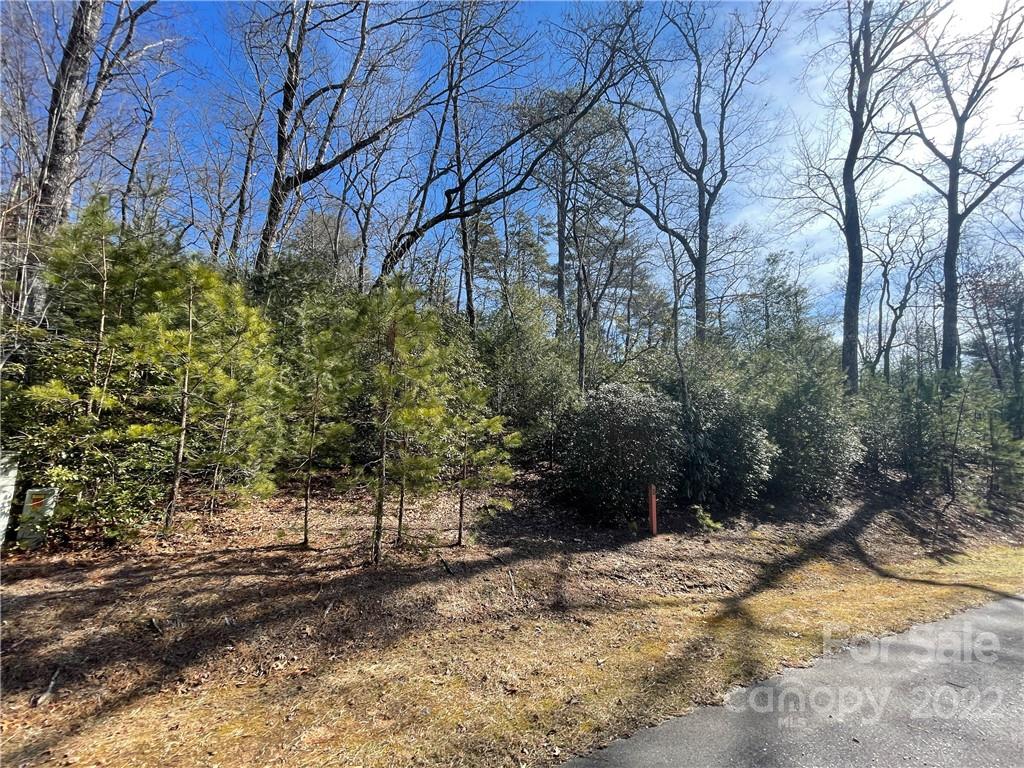Sh8 Springhouse Trail Brevard, NC 28712 - Photo 1 of 24 Gallery Image 1
