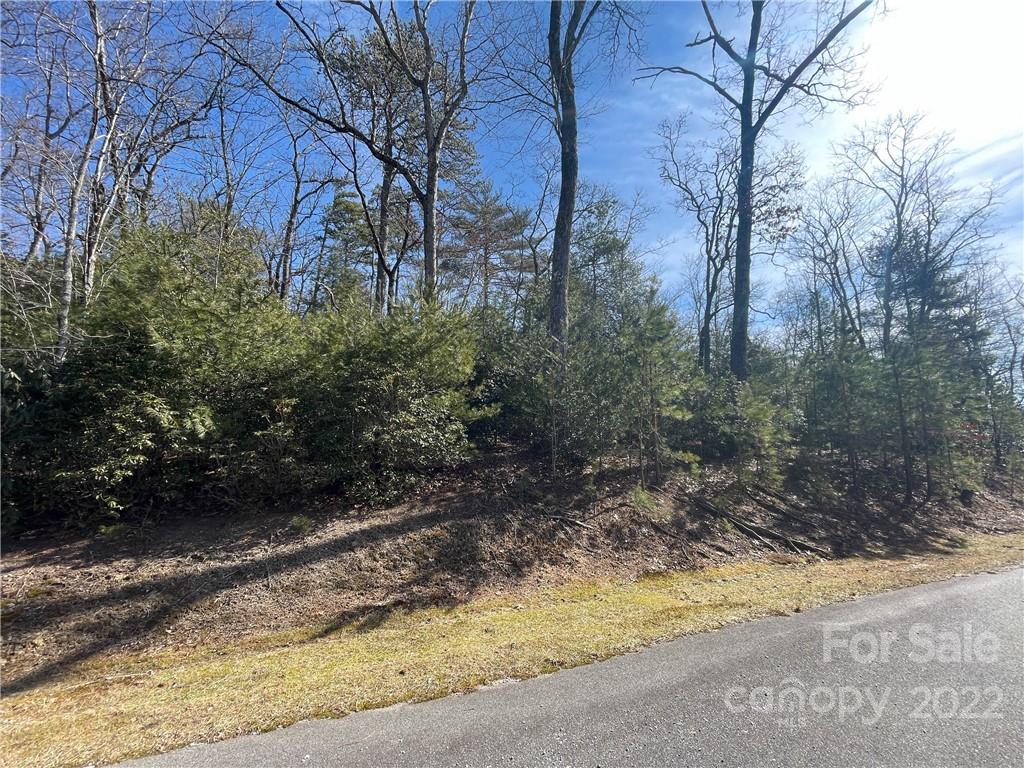 Sh8 Springhouse Trail Brevard, NC 28712 - Photo 2 of 24 Gallery Image 2