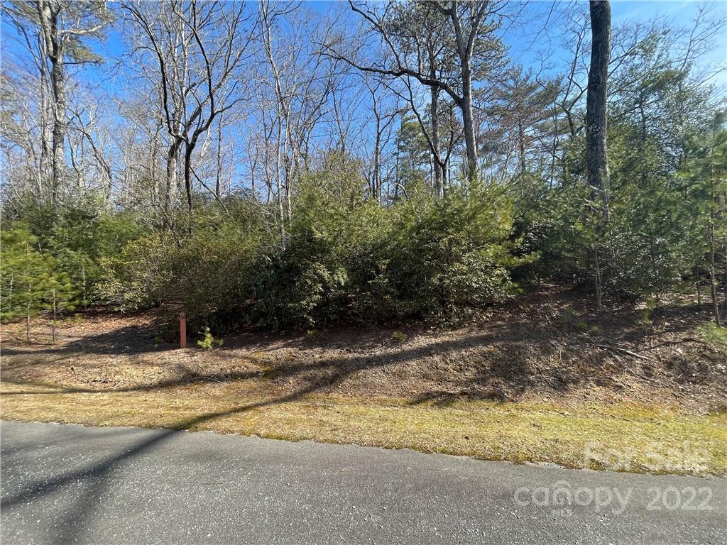 Sh8 Springhouse Trail Brevard, NC 28712 - Photo 3 of 24 Gallery Image 3