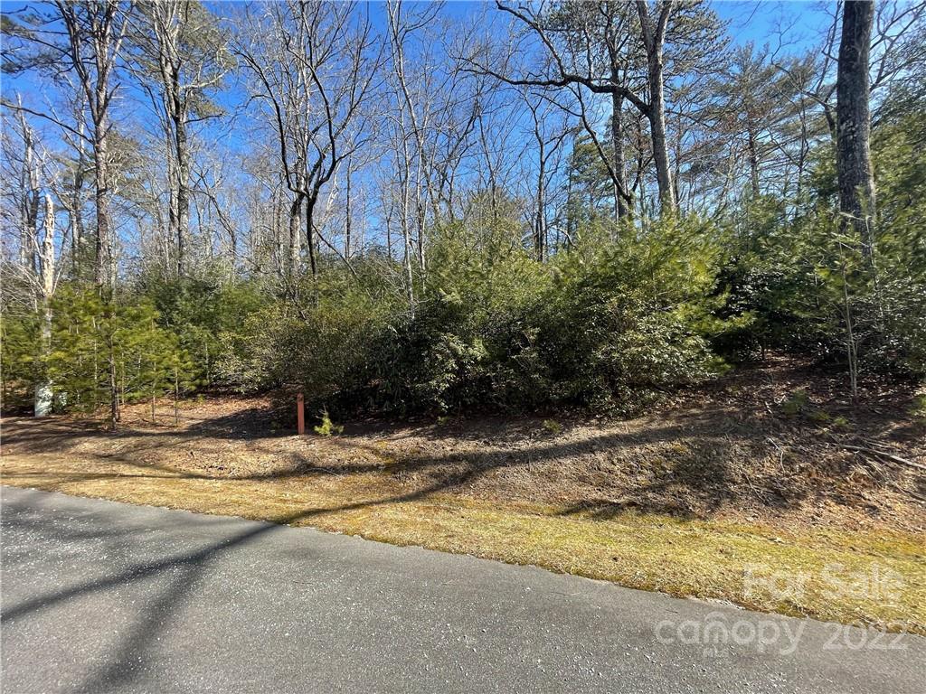 Sh8 Springhouse Trail Brevard, NC 28712 - Photo 4 of 24 Gallery Image 4