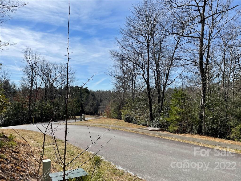 Sh8 Springhouse Trail Brevard, NC 28712 - Photo 5 of 24 Gallery Image 5