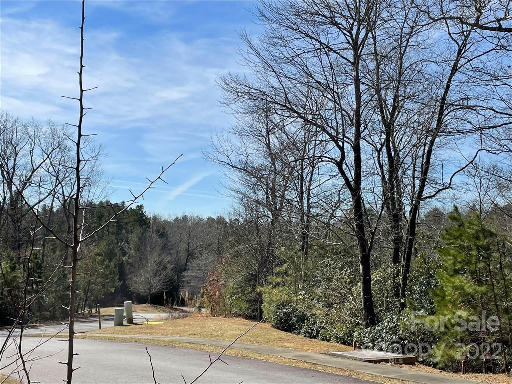 Sh8 Springhouse Trail Brevard, NC 28712 - Photo 6 of 24 Gallery Image 6