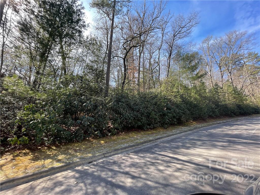 Sh8 Springhouse Trail Brevard, NC 28712 - Photo 7 of 24 Gallery Image 7