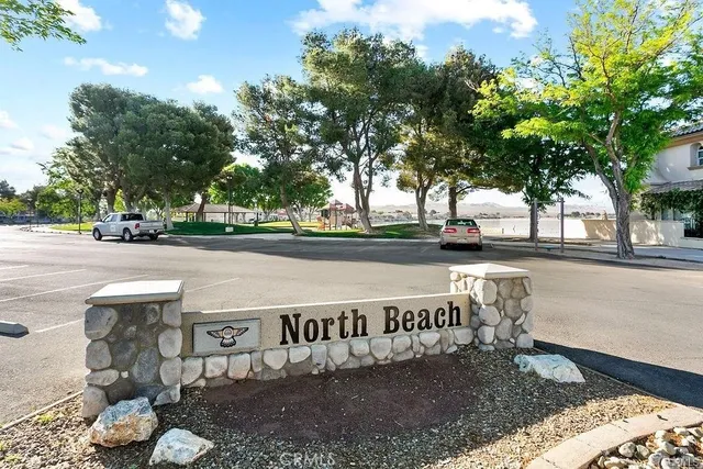 a view of a street with benches and a tree