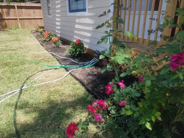 $1,600 | 9974 Elder, Willis, TX 77318