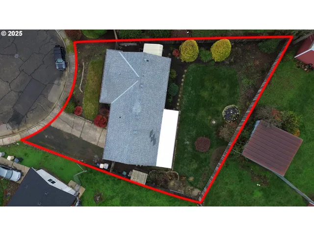 a open area with lots of trees