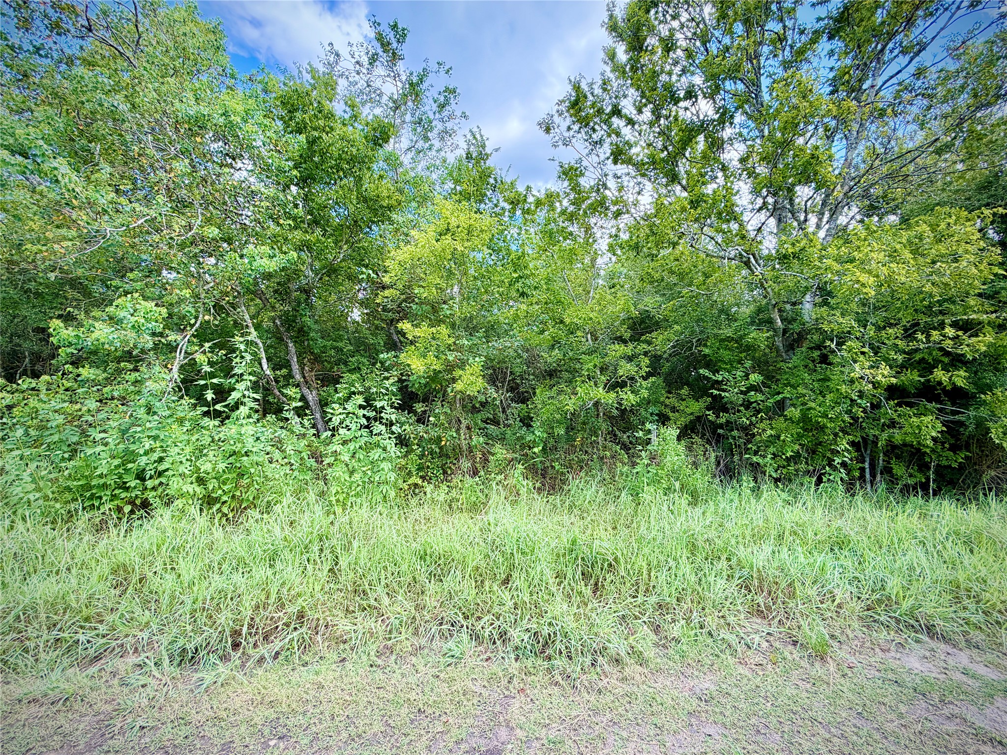0 County Road 121 Rosharon, TX 77583 - Photo 10 of 11 Gallery Image 10