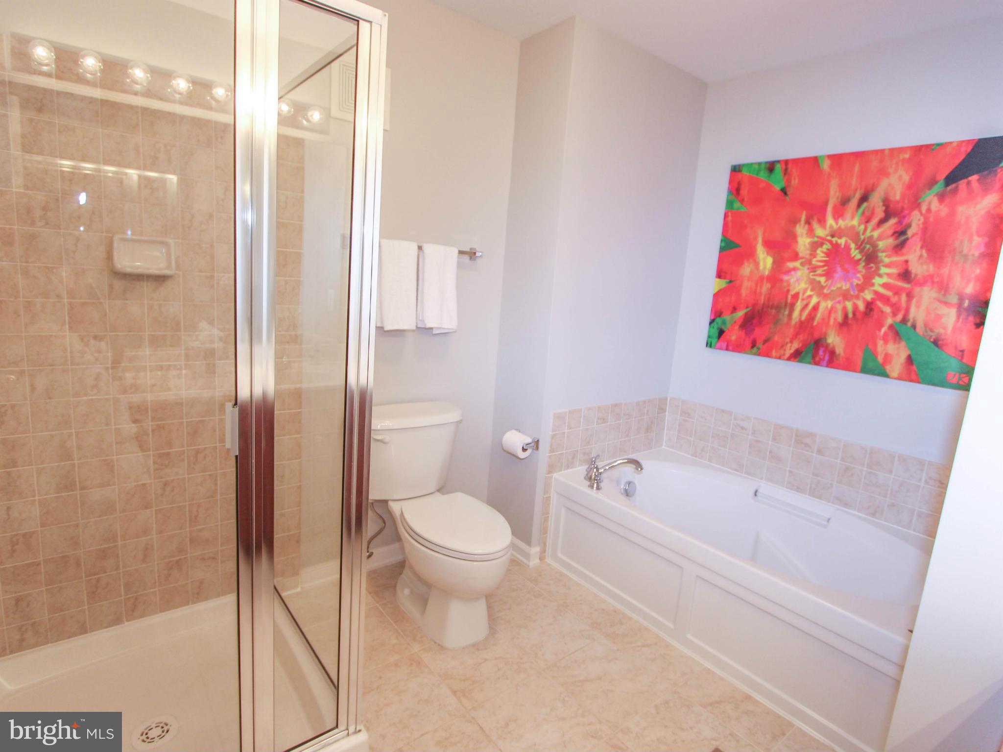 12468 Liberty Bridge Road, Unit 102A Fairfax, VA 22033 - Photo 23 of 30 Bath (Master)