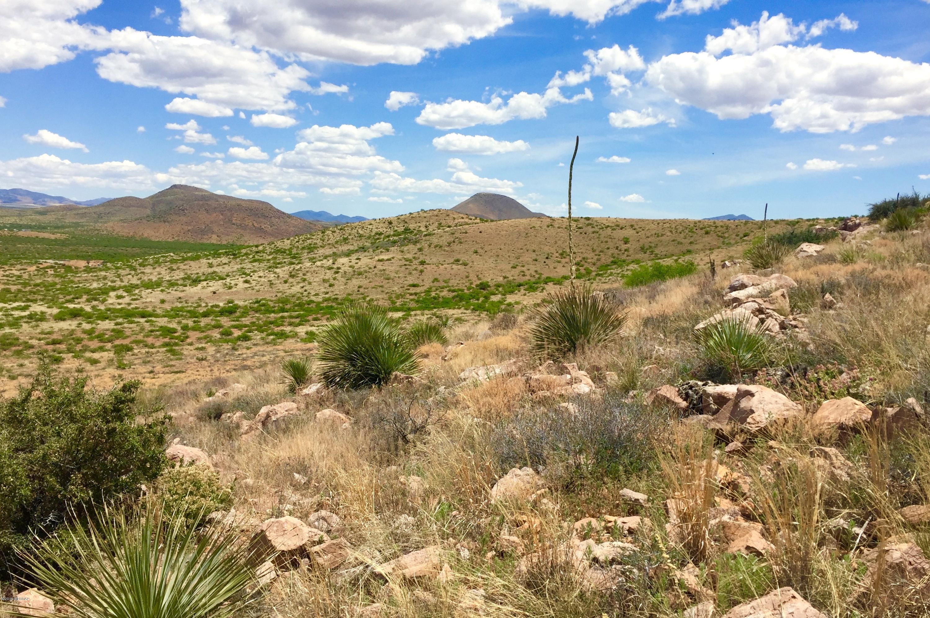 39.54 Ac Ranch, Unit 154 Pearce, AZ 85625 - Photo 5 of 50 Gallery Image 5