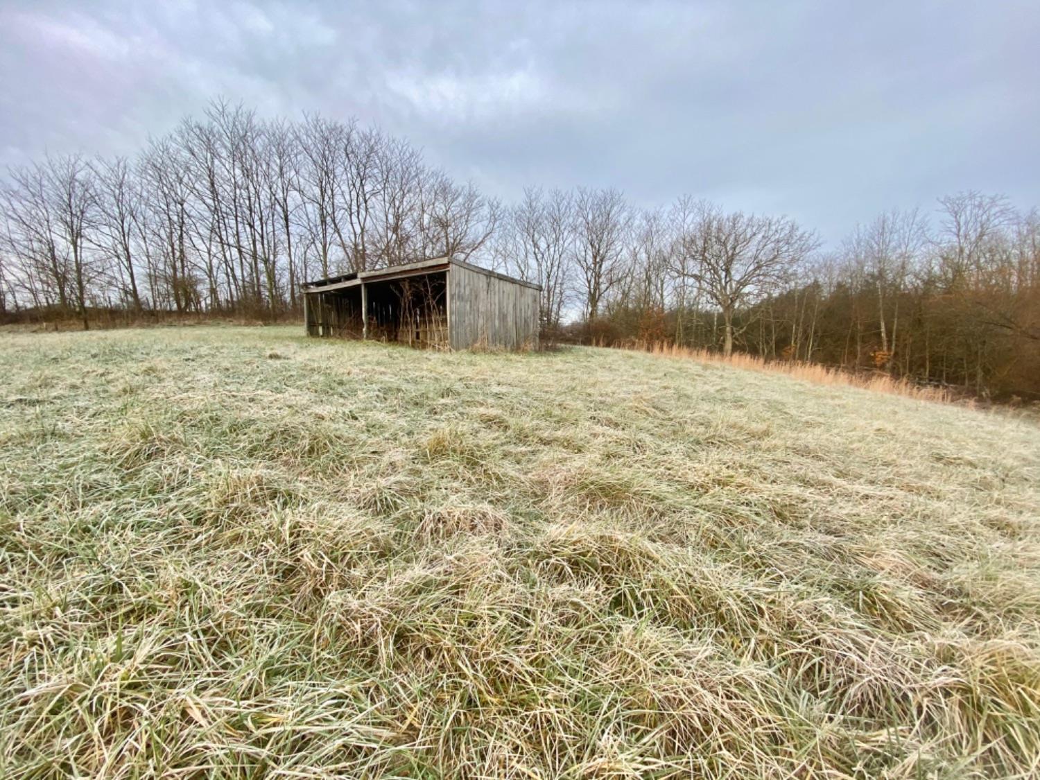 10998 County Farm Road Aurora, IN 47001 - Photo 11 of 14 Gallery Image 11