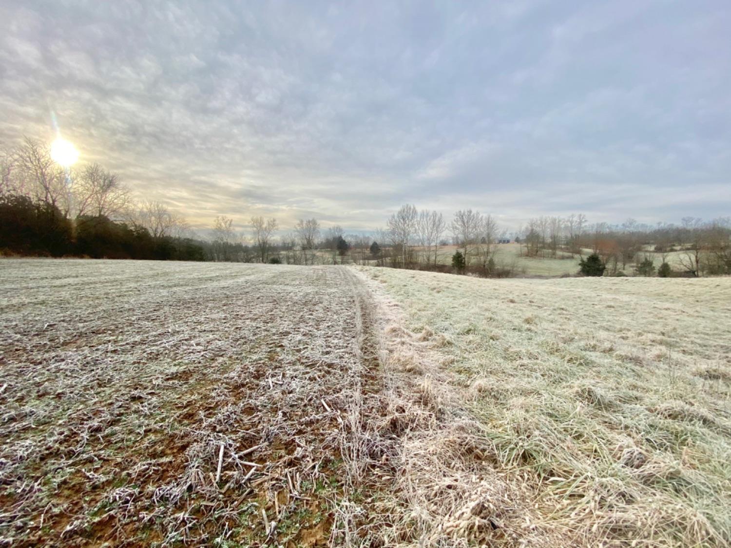 10998 County Farm Road Aurora, IN 47001 - Photo 4 of 14 Gallery Image 4