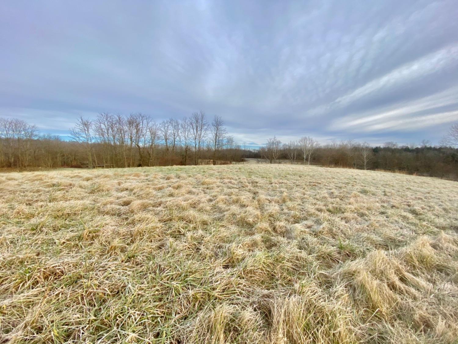 10998 County Farm Road Aurora, IN 47001 - Photo 5 of 14 Gallery Image 5